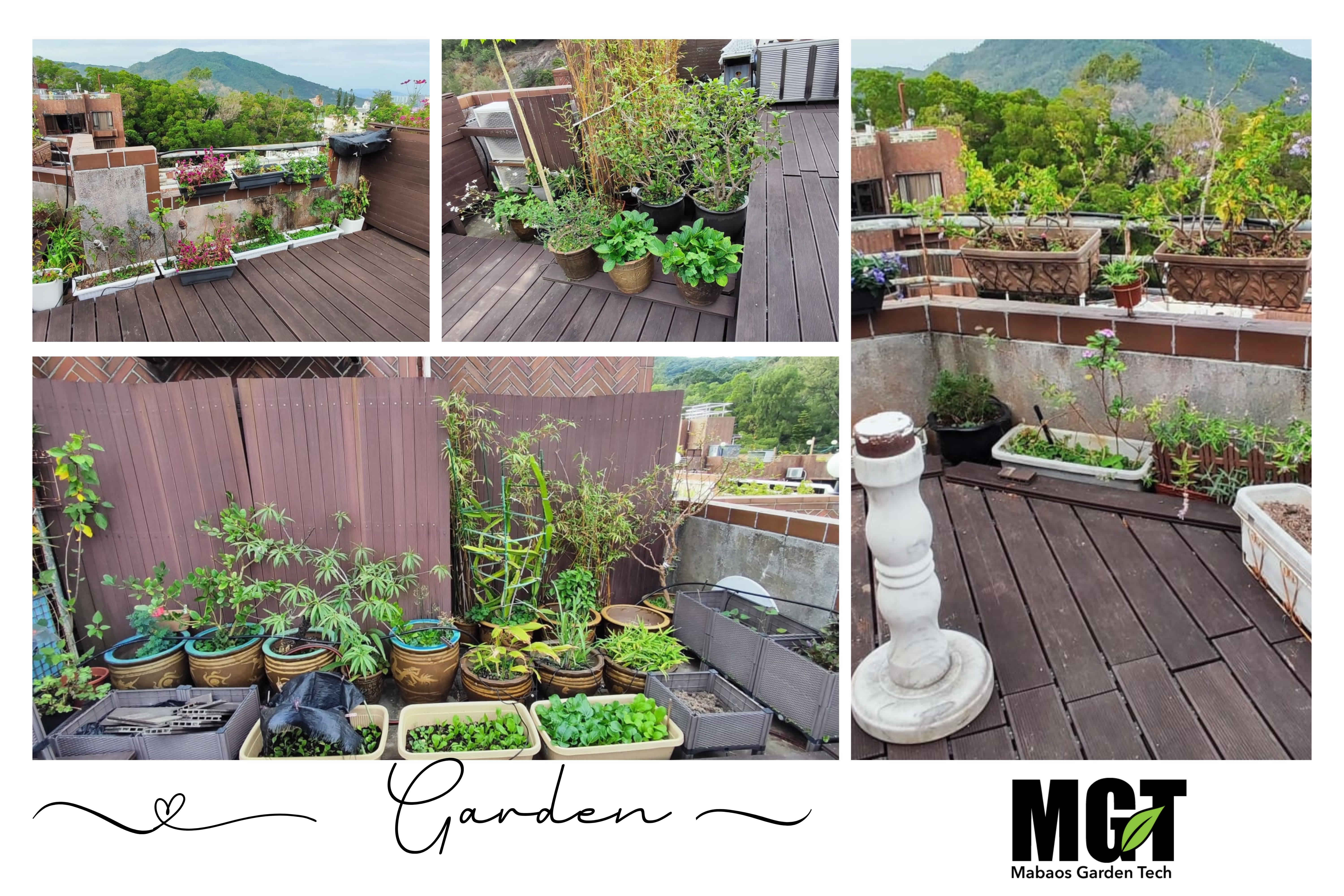 Transformed rooftop garden